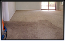 Phoenix Carpet Cleaning